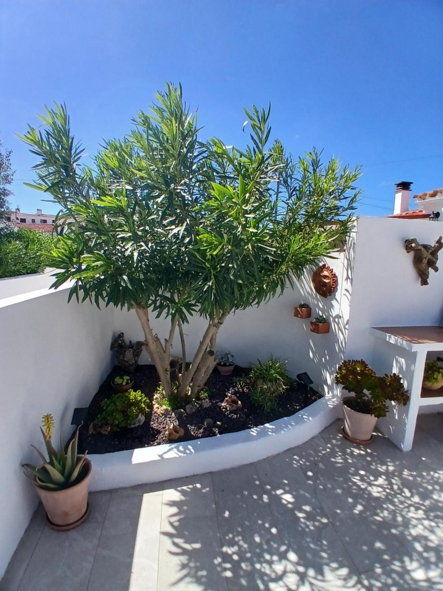 Tramontana Villa Cala En Porter  Exteriér fotografie